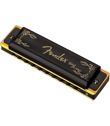 Amazon.com: Suzuki Chromatic Harmonica, Silver (SCX-48 Bb